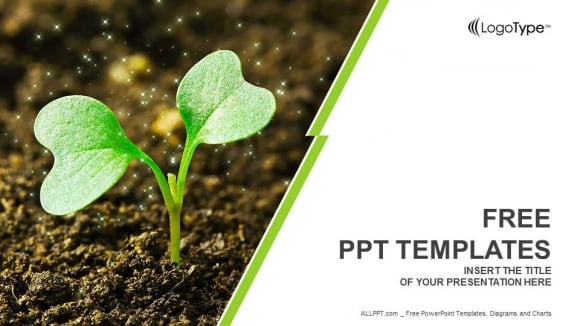 young-plant-sprouting-powerpoint-templates