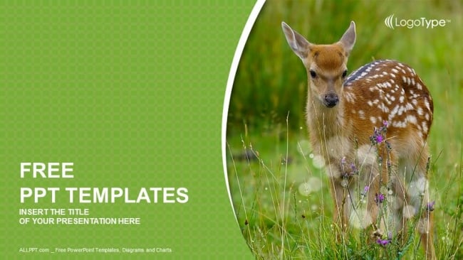 Young-sika-deer-PowerPoint-Templates (1)