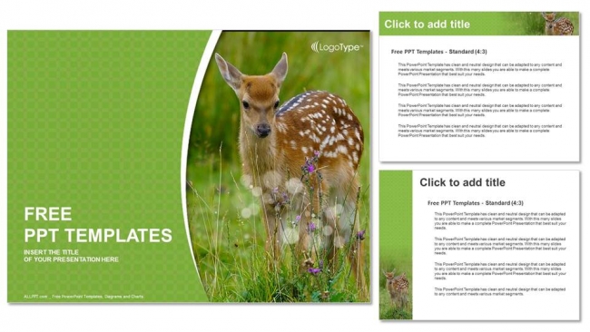 Young-sika-deer-PowerPoint-Templates (4)