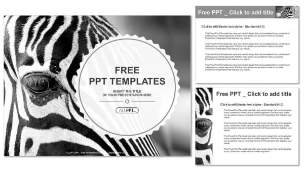 Monochromatic image of a the face of a zebra close up PowerPoint Templates (4)