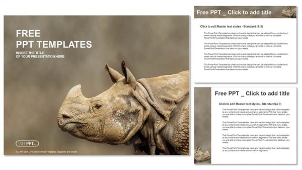 Rhino, Rhinoceros head shot PowerPoint Templates (4)