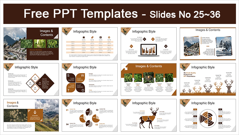 Red-Deer-PowerPoint-Templates-Preview (3)