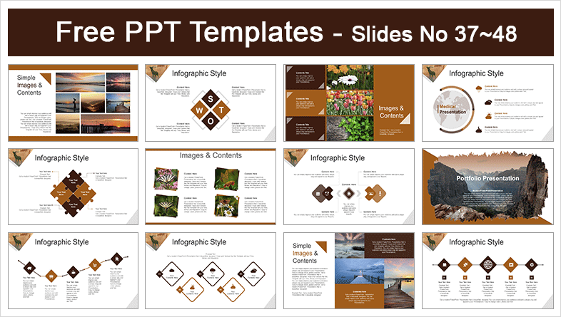 Red-Deer-PowerPoint-Templates-Preview (4)